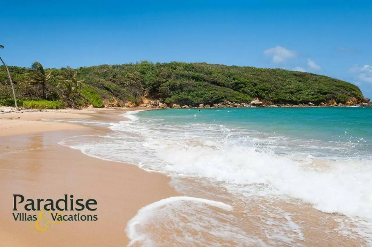 Villa Brisas De Mar- Ocean View, Gated Community Dorado